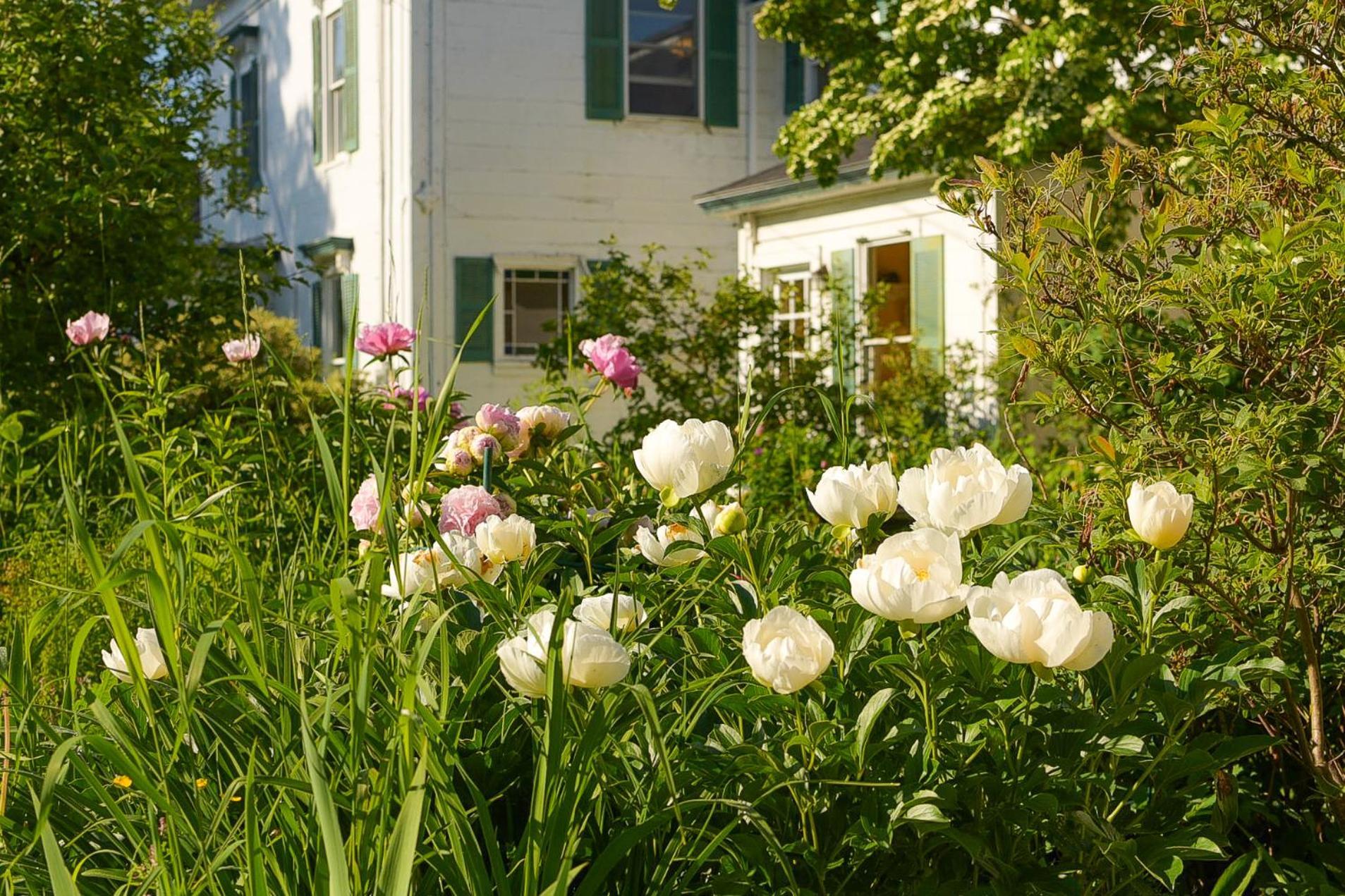 The Waldoboro Inn Eksteriør bilde